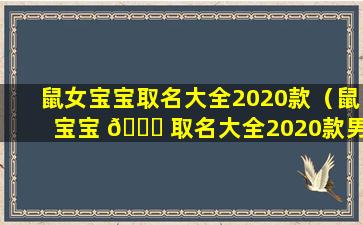 鼠女宝宝取名大全2020款（鼠宝宝 🐎 取名大全2020款男孩带寓意）